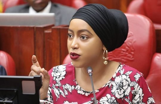 Nominated Senator Hezena Lemaletian obtains permanent protection orders against her ex-lover