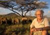 Elephant conservation pioneer Iain Douglas-Hamilton dies at 83 in Nairobi