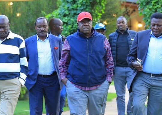 United Opposition Launches Nationwide Rallies to Champion Accountability and Constitutional Rights