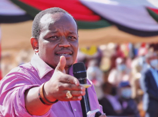 Wambugu Dismisses Claims Jubilee Party Is Politically Weak