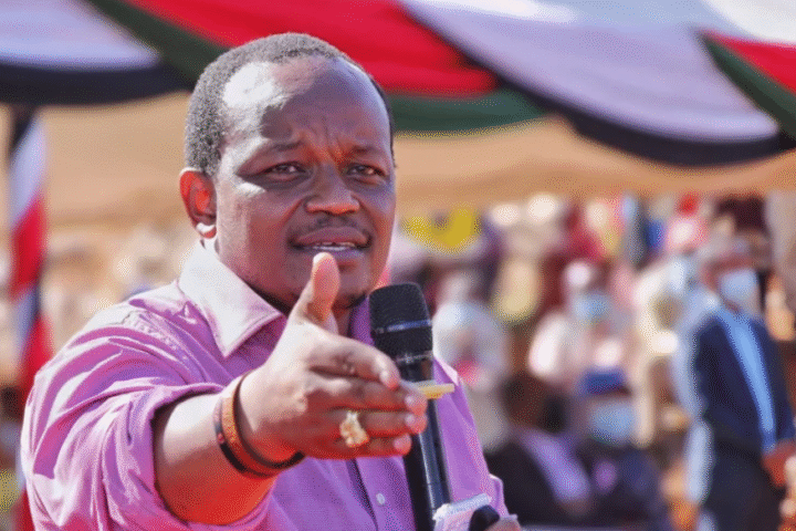 Wambugu Dismisses Claims Jubilee Party Is Politically Weak